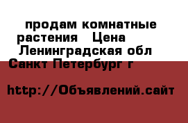 продам комнатные растения › Цена ­ 200 - Ленинградская обл., Санкт-Петербург г.  »    